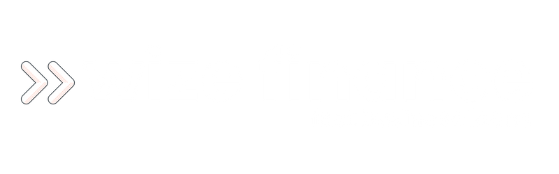Wize Finance